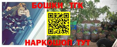 мдпв Гусев